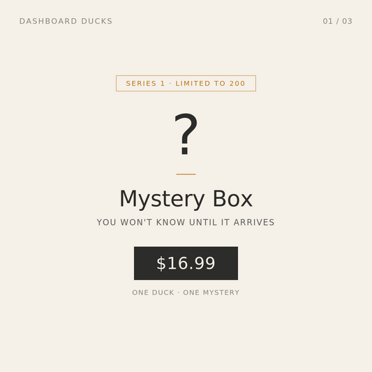 Mystery Box - Series 1